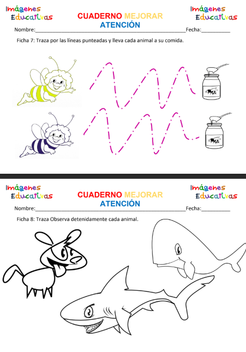 Preview página 4